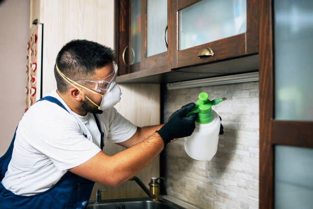 Best Mosquito Control Services  in Ione, CA