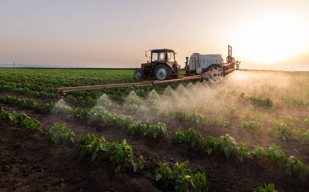 Best Pest Control Near Me  in Ione, CA