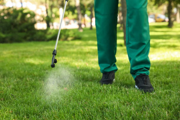 Best Pest Inspection Near Me  in Ione, CA