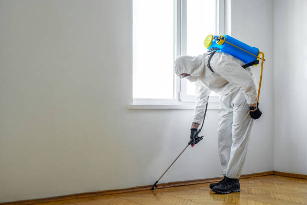 Best Emergency Pest Control  in Ione, CA