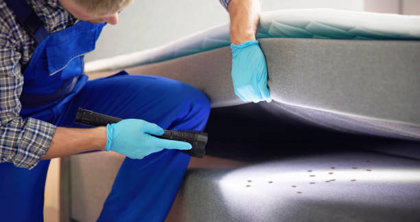 Best Pest Control Near Me in Ione, CA