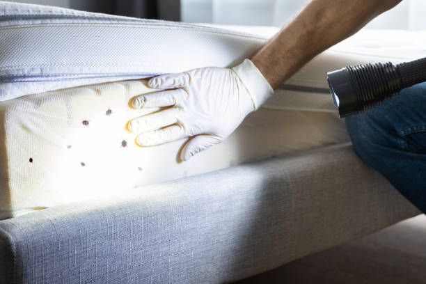 Best Commercial Pest Control Services  in Ione, CA
