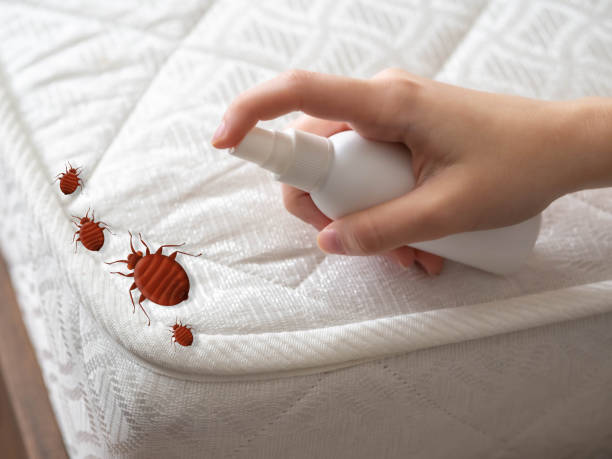 Best Residential Pest Control  in Ione, CA
