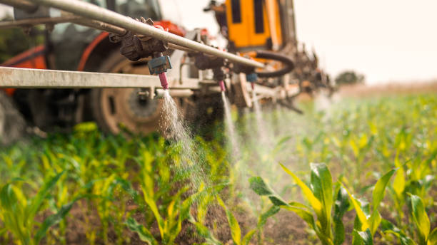 Best Pest Control Treatment  in Ione, CA